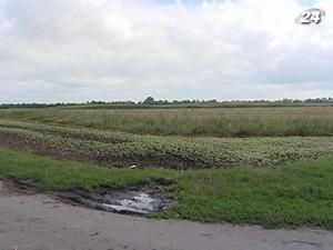 Землю начнут продавать с 2013 года Землю начнут продавать с 2013 года