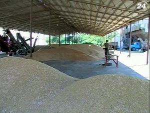 Все больше фермеров начали страховать свои риски 