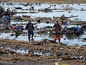 Під завалами будинків японці знайшли вже $ 50 мільйонів і віддали їх владі Під завалами будинків японці знайшли вже $ 50 мільйонів і віддали їх владі