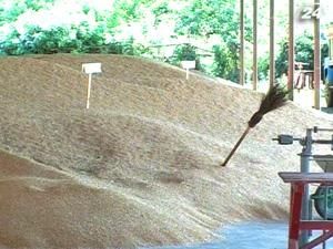 Підсумок тижня: Ринок агрострахування України зростає Підсумок тижня: Ринок агрострахування України зростає