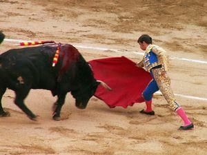 Сегодня испанцы проведут последнюю корриду Сегодня испанцы проведут последнюю корриду