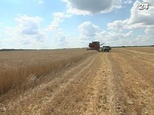 Украина в поисках новых рынков для экспорта зерна