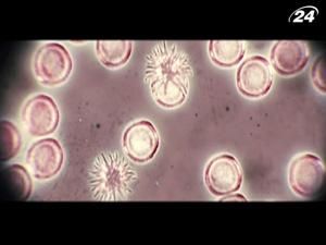 "Нечто": норвежские ученые находят инопланетный организм "Нечто": норвежские ученые находят инопланетный организм