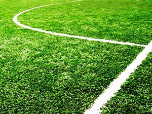 На львовском стадионе постелили газон На львовском стадионе постелили газон