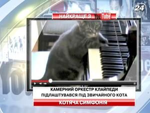 Камерный оркестр Клайпеды подстроился под обычного кота Камерный оркестр Клайпеды подстроился под обычного кота