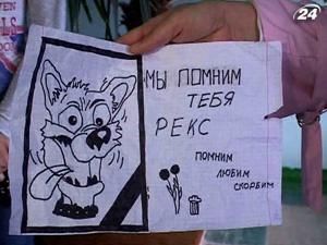 Луганськ: на очах у школярів поранили собаку та залишили помирати Луганськ: на очах у школярів поранили собаку та залишили помирати