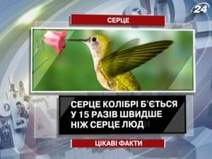 Интересные факты о сердце