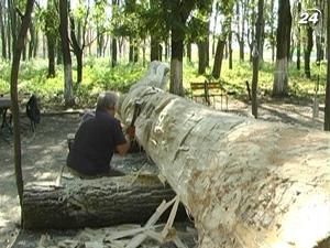 К 1118 годовщине Ужгорода местный мастер взялся за создание 7-метровой скульптуры К 1118 годовщине Ужгорода местный мастер взялся за создание 7-метровой скульптуры