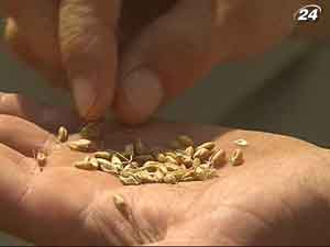 Аграрии оценивают свои потери от экспортных пошлин в 8 млрд. грн.