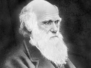 2 октября. День в истории - 2 октября 2011 - Телеканал новин 24 2 октября. День в истории - 2 октября 2011 - Телеканал новин 24