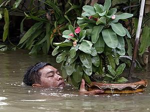 150 человек стали жертвами наводнения в Камбодже
