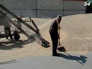 Росіяни прогнозують посилення падіння світових цін на зерно Росіяни прогнозують посилення падіння світових цін на зерно