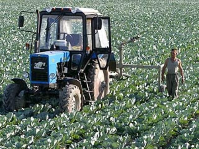 Уряд виділить аграріям майже 40 млрд грн.