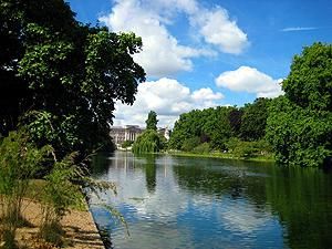 У Букингемского дворца нашли тело большого поклонника Елизаветы II У Букингемского дворца нашли тело большого поклонника Елизаветы II