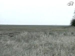 Відсутність дощів завдала шкоди посівам озимих культур Відсутність дощів завдала шкоди посівам озимих культур