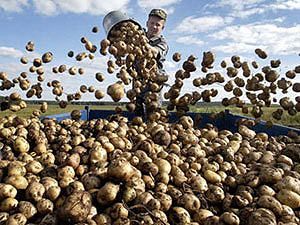 В Беларуси решили взяться за частный сектор В Беларуси решили взяться за частный сектор