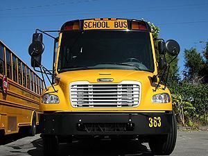 У США відкликали 1800 шкільних автобусів через дефекти двигуна
