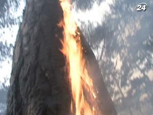 Поблизу Ялти на території Кримського заповідника зайнялась трава Поблизу Ялти на території Кримського заповідника зайнялась трава