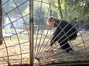 В Запорожье мужчина погиб от взрыва гранаты на школьном стадионе