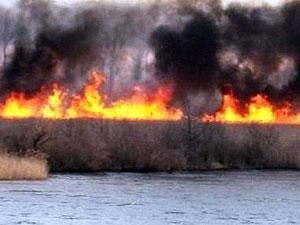 В Одесской области продолжается тушение пожара в заповеднике