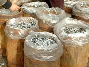 Украина за 8 мес. снизила вылов рыбы на 10,5% - до 117,5 тыс. тонн