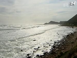 Всего за 200 евро Вы встретитесь глазами с морскими хищниками Кейптауна Всего за 200 евро Вы встретитесь глазами с морскими хищниками Кейптауна