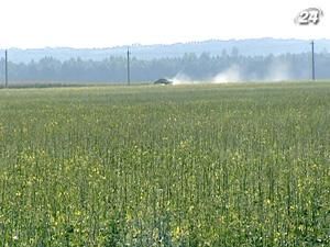 Тимченко: Земельна реформа протидіятиме латифундизму Тимченко: Земельна реформа протидіятиме латифундизму