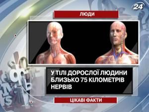 Интересные факты о человеке