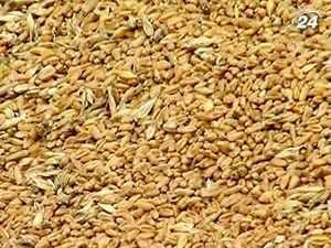 Україна сама себе забезпечить агропродукцією Україна сама себе забезпечить агропродукцією