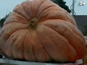 В Калифорнии состоялся чемпионат среди тыкв-тяжеловесов В Калифорнии состоялся чемпионат среди тыкв-тяжеловесов