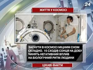 Несколько интересных фактов о жизни в космосе Несколько интересных фактов о жизни в космосе