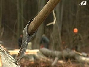 Український ліс дозволять вирубувати іноземцям Український ліс дозволять вирубувати іноземцям