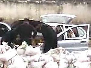 В Индии полиция нашла 5 килограммов взрывчатки в автомобиле сепаратистов