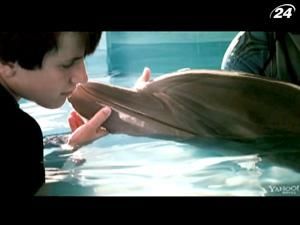 "Історія дельфіна" – фільм з екологічним закликом