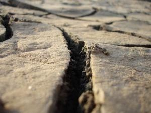 В Папуа-Новой Гвинее произошло землетрясение В Папуа-Новой Гвинее произошло землетрясение