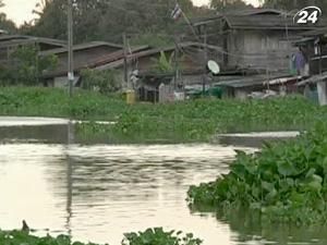 Таиланд страдает от сильнейших за последние 50 лет наводнений
