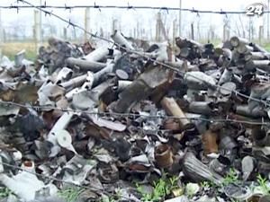 Двое девятилетних школьников подорвались на взрывчатке Двое девятилетних школьников подорвались на взрывчатке