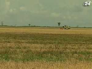 Україна втрачає ринки збуту зерна Україна втрачає ринки збуту зерна