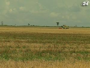 Украина теряет рынки сбыта зерна