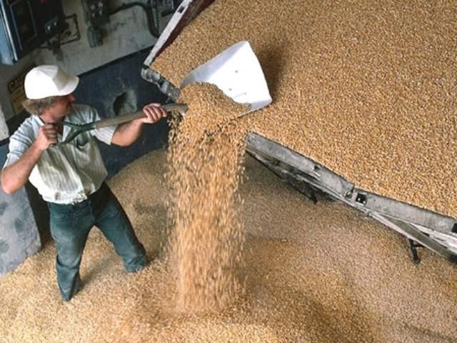 МинАПК: Украина соберет 52-54 миллиона тонн зерновых