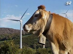 "Зеленая" энергетика ударит по карманам европейцев "Зеленая" энергетика ударит по карманам европейцев