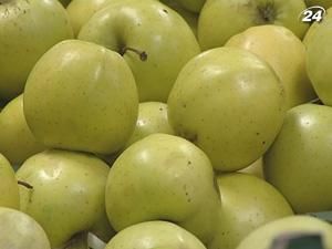 Украина наращивает экспорт яблок