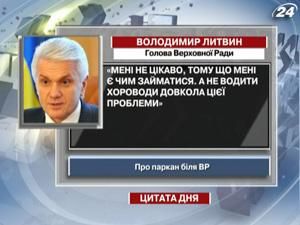 Литвин: Мне есть чем заниматься