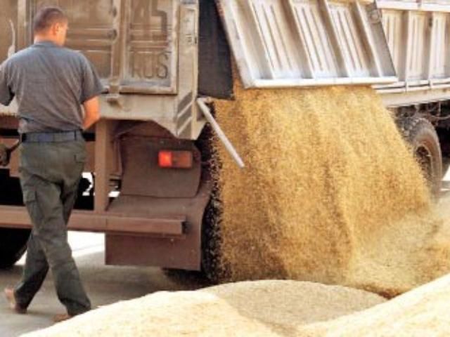 Депутаты "освободили" экспорт зерна от НДС
