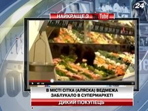 В місті Сітка (Аляска) ведмежа заблукало в супермаркеті В місті Сітка (Аляска) ведмежа заблукало в супермаркеті