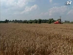 Украина разрушает свой экспортный потенциал зерновых Украина разрушает свой экспортный потенциал зерновых