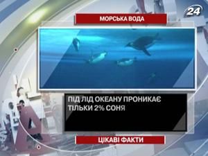 Цікаві факти про морську воду