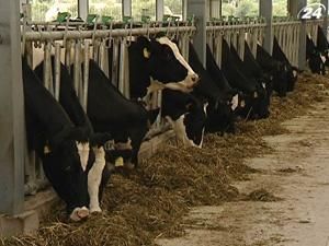 Держбюджет-2012 назвали неефективним для села Держбюджет-2012 назвали неефективним для села