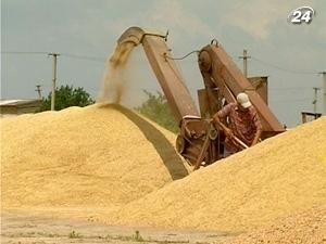 Иордания закупила 100 тысяч тонн украинской пшеницы