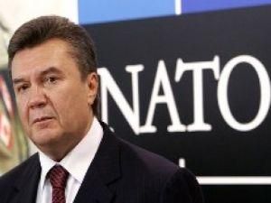 В НАТО учтут последние политические события в Украине